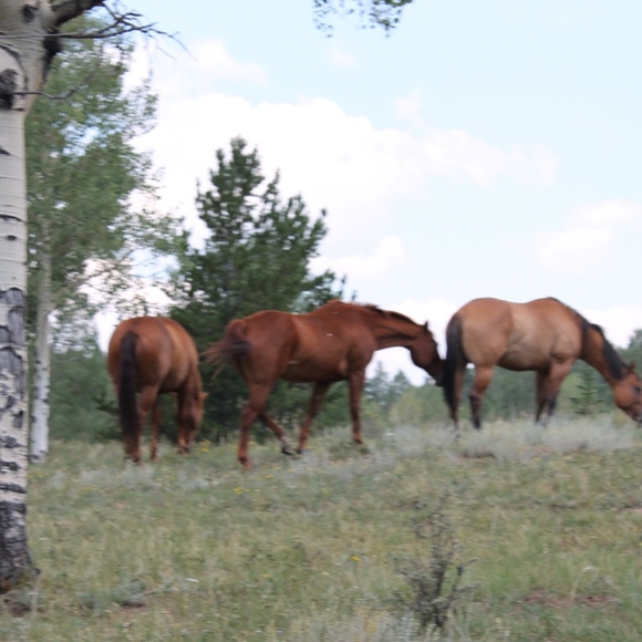 Welcome all - Picture 8 of 16